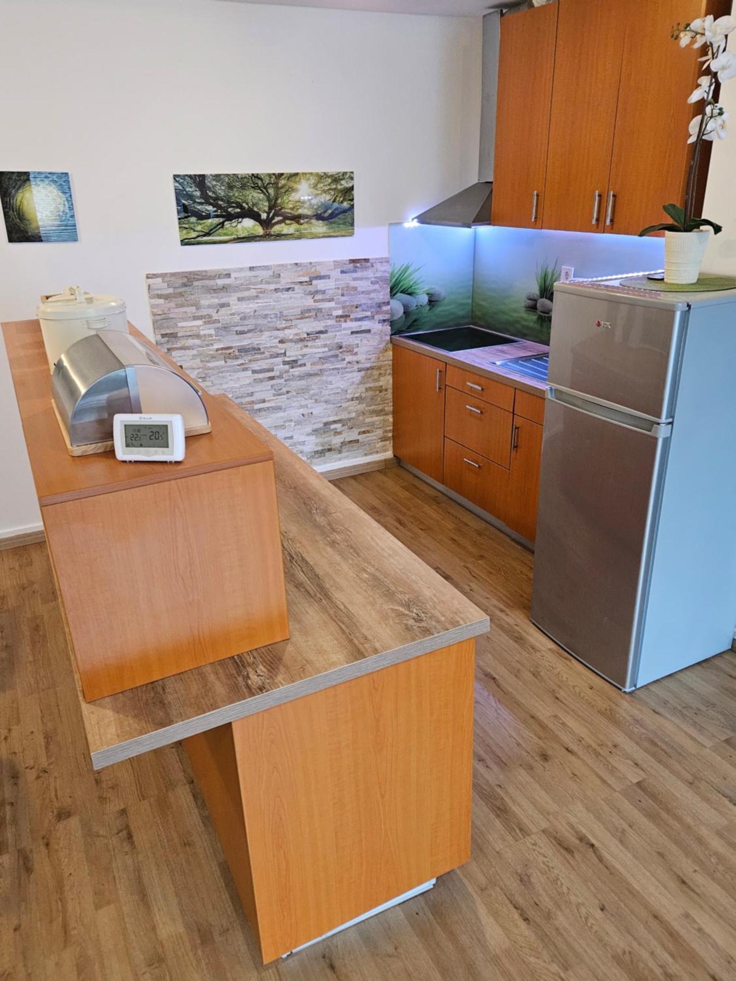 Apartment Zoya Kranjska Gora Dış mekan fotoğraf