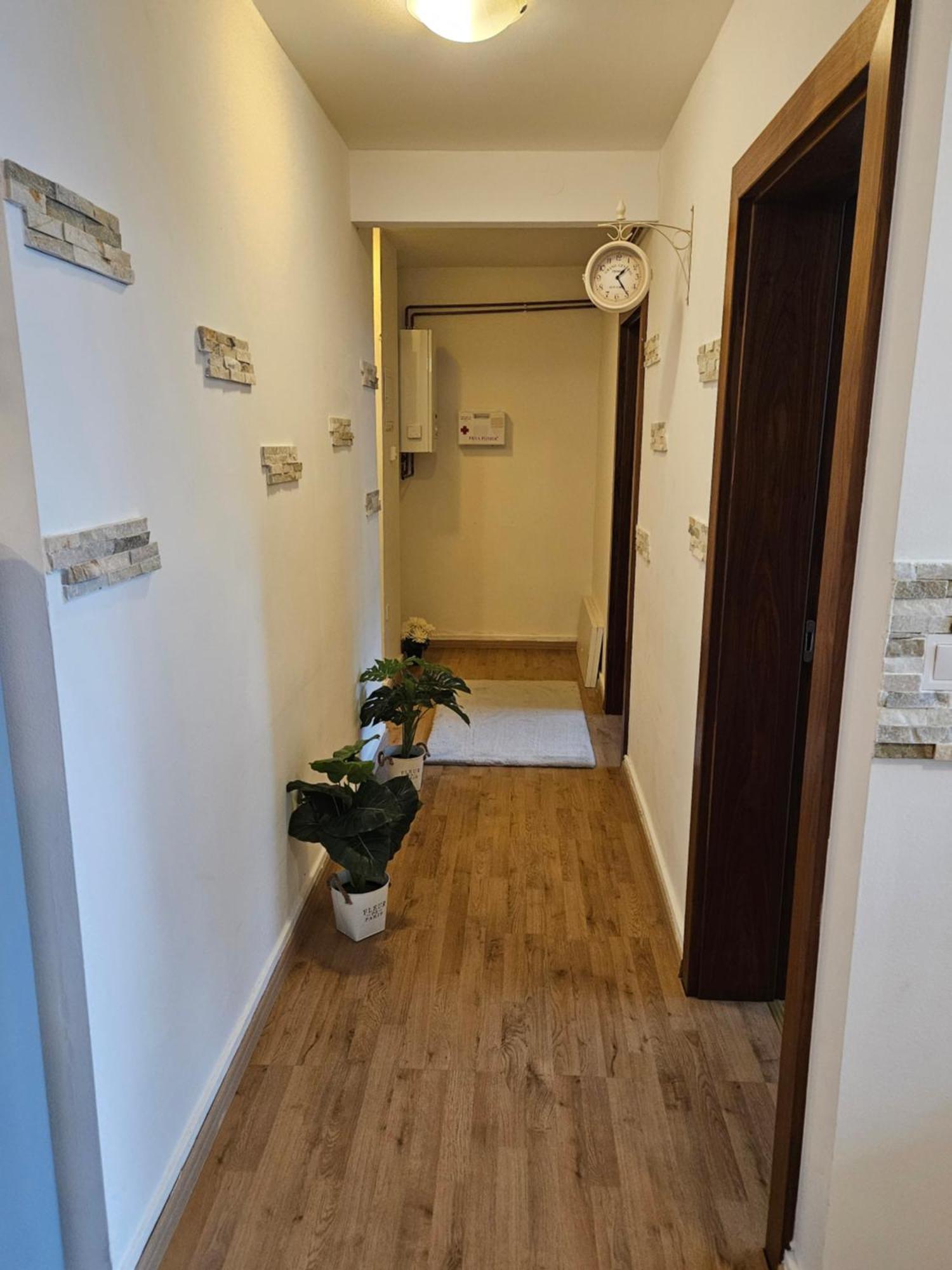 Apartment Zoya Kranjska Gora Dış mekan fotoğraf