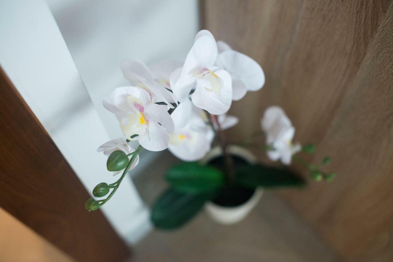 Apartment Zoya Kranjska Gora Dış mekan fotoğraf